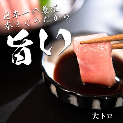 【高知県大月町産 本マグロ】 大トロ300g