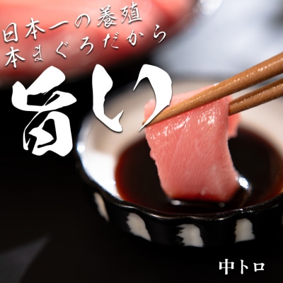 【高知県産 養殖本マグロ】中トロ 300g 黒潮本まぐろ 刺身用 小分け柵 急速冷凍 最優秀賞受賞