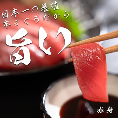 【高知県産 養殖本マグロ】赤身 300g 黒潮本まぐろ 刺身用 小分け柵 急速冷凍 最優秀賞受賞
