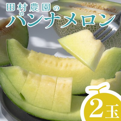【高知県 大月町産】田村農園のパンナメロン　2玉