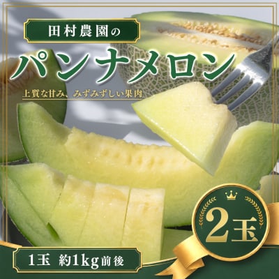 パンナメロン2玉(1玉約1kg前後)希少甘い 芳醇 メロンフルーツ 果物 数量限定 厳選 ギフト 旬