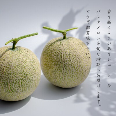 【高知県 大月町産】田村農園のパンナメロン　2玉