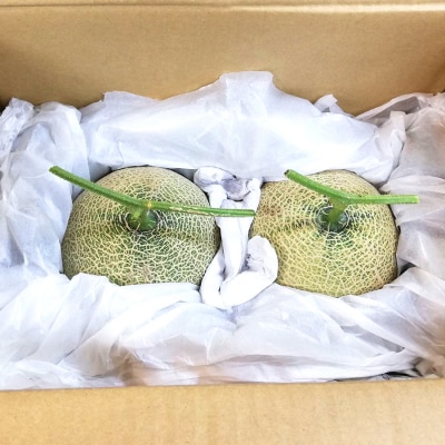 パンナメロン 2玉 希少 甘い 芳醇 メロン フルーツ 果物 数量限定 厳選 ギフト 旬 贈答