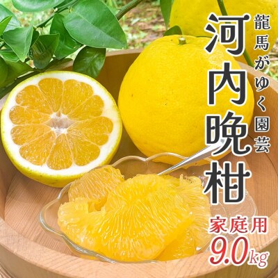 【高知県大月町産】龍馬がゆく園芸 家庭用 河内晩柑(9kg)