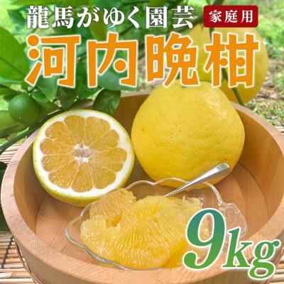 河内晩柑 9kg (M～5L) 【家庭用】 大容量 ばんかん バンカン 晩柑 夏文旦 みかん 柑橘
