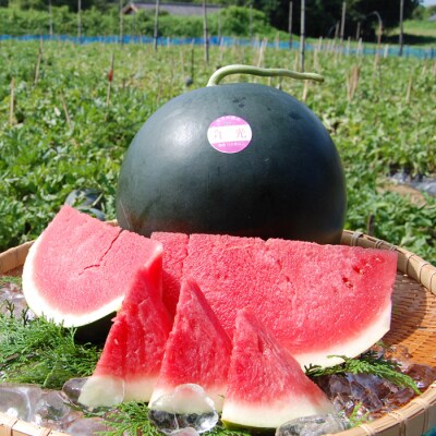 【高知県 大月町産】抜群の甘さ!ねばねばファームのスイカ