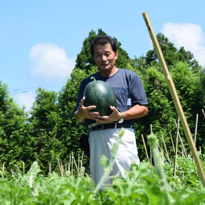 抜群の甘さ! スイカ 1玉 大玉 (6kg以上) 甘い 高糖度 西瓜 すいか 種なし 黒玉 産地直送