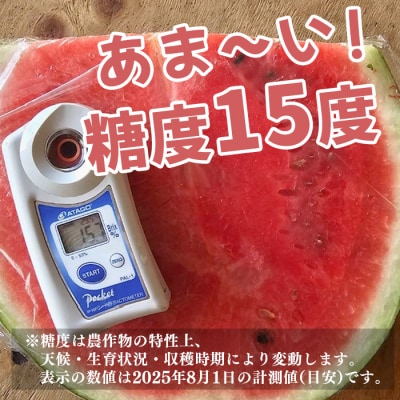 抜群の甘さ! スイカ 1玉 大玉 (6kg以上) 甘い 高糖度 西瓜 すいか 種なし 黒玉 産地直送