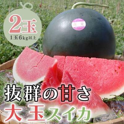 抜群の甘さ! スイカ 2玉 大玉 (6kg以上) 甘い 高糖度 西瓜 すいか 種なし 黒玉 産地直送