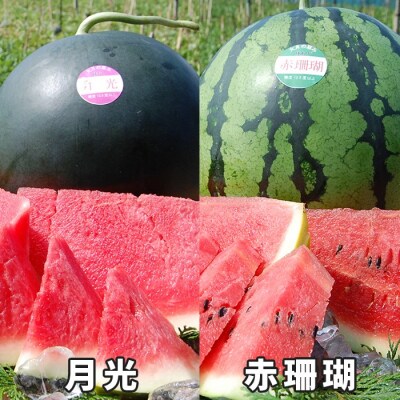 抜群の甘さ! スイカ 2玉 大玉 (6kg以上) 甘い 高糖度 西瓜 すいか 種なし 黒玉 産地直送
