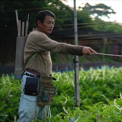 【高知県 大月町産】抜群の甘さ!ねばねばファームのスイカ　2玉