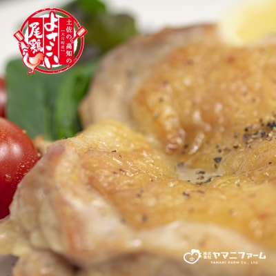 【大月町のブランド鶏】よさこい尾鶏 もも肉2kg