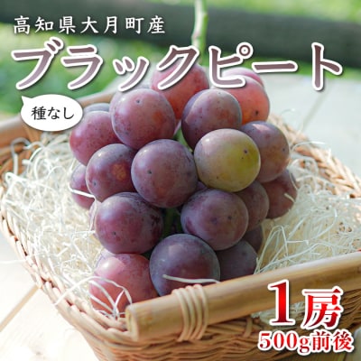 【2026年8月発送予定】ぶどう 種なし ブラックビート 1房 (500g) ブドウ 葡萄 数量限定