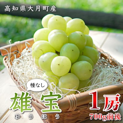 【2026年8・9月発送】大粒 ぶどう 種なし 雄宝 1房 (700g)  高級 ブドウ 大きい