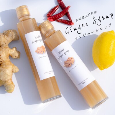 【高知県 大月町産】ジンジャーシロップ(2本)