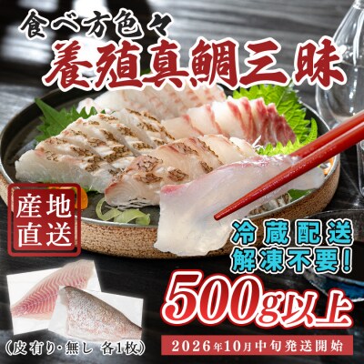 【先行受付】 朝獲れ 真鯛 フィーレ 皮付き 皮なし 500g以上 冷蔵 養殖 たい タイ マダイ