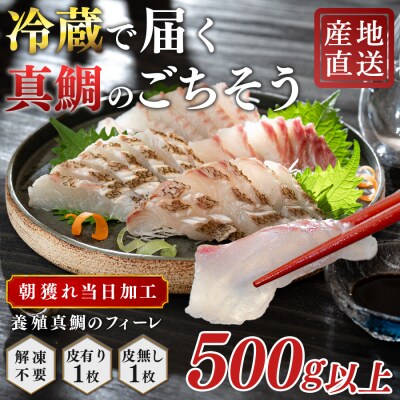 朝獲れ 真鯛 フィーレ 皮付き 皮なし 500g以上 冷蔵 養殖 たい タイ マダイ