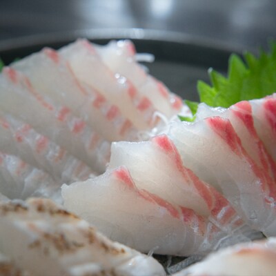 真鯛フィーレ 半身(皮あり×1 皮なし×1)計500〜740g 冷蔵 真空 産地直送 食べ比べ