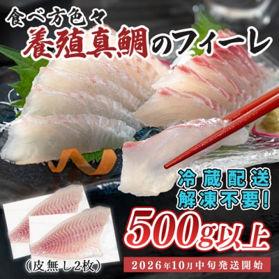 【先行受付】 朝獲れ 真鯛 フィーレ 皮なし 500g以上 刺身 冷蔵 養殖 たい タイ マダイ