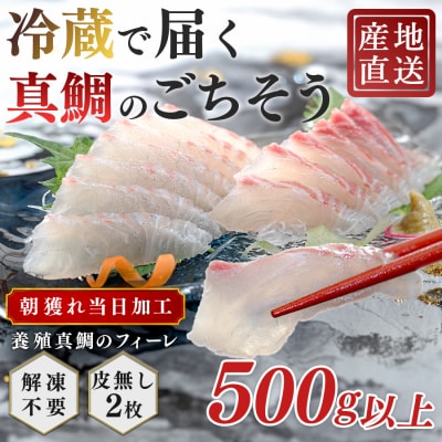朝獲れ 真鯛 フィーレ 皮なし 500g以上 刺身 冷蔵 養殖 たい タイ マダイ