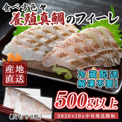 【先行受付】 朝獲れ 真鯛 フィーレ 皮付き 500g以上 刺身 冷蔵 養殖 たい タイ マダイ セ