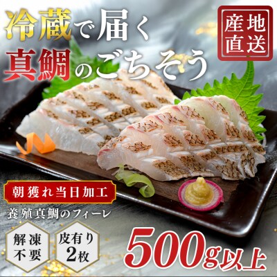 朝獲れ 真鯛 フィーレ 皮付き 500g以上 刺身 冷蔵 養殖 たい タイ マダイ セ