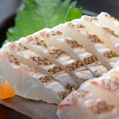 【先行受付】 朝獲れ 真鯛 フィーレ 皮付き 500g以上 刺身 冷蔵 養殖 たい タイ マダイ セ