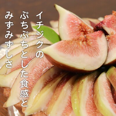 いちじく レアチーズタルト いちじくたっぷり タルト イチジク 冷凍 スイーツ 洋菓子 デザート 季