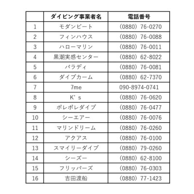 大月町共通ダイビングチケットA