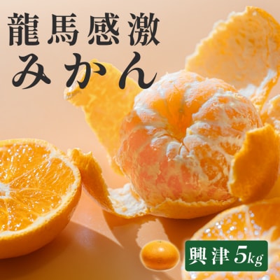 みかん 5kg 龍馬感激みかん 興津 温州みかん