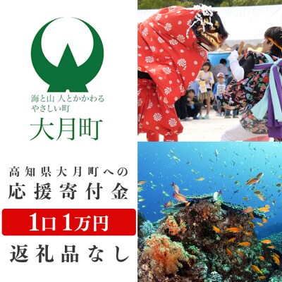 高知県大月町への応援寄附金1万円　【返礼品なし】