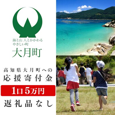高知県大月町への応援寄付金5万円　【返礼品なし】
