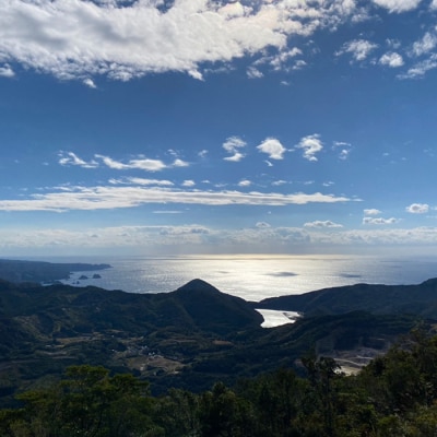 風車と絶景　ウォーキングツアーファミリーチケット