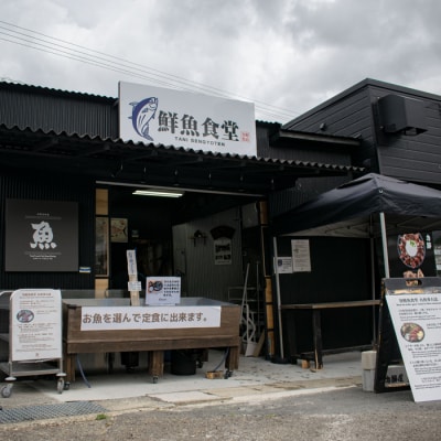 高知県産 鮮魚 詰め合わせ便 4kg  谷鮮魚食堂 刺し身 煮付け 内臓処理済み 産地直送 生魚 
