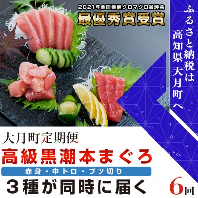 【定期便】高知県 大月町産『黒潮本マグロ』中トロ・赤身・ブツ 計6回