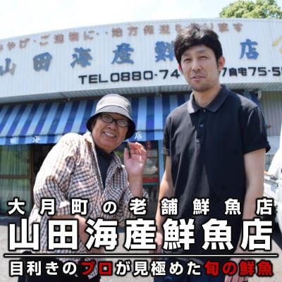 【定期便4回】山田さんちの鮮魚便(1月始まり)