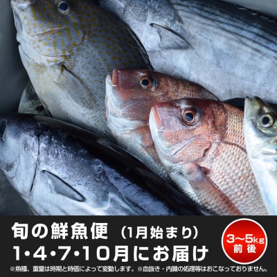 【定期便4回】山田さんちの鮮魚便(1月始まり)