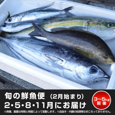 【定期便4回】山田さんちの鮮魚便(2月始まり)