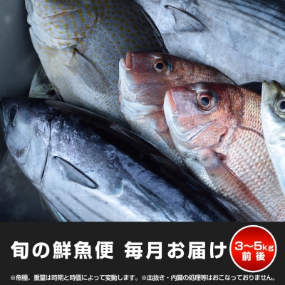 【定期便12回】山田さんちの鮮魚便