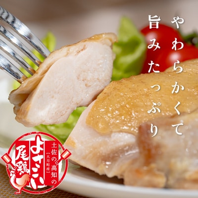 【定期便6回】よさこい尾鶏×力豚