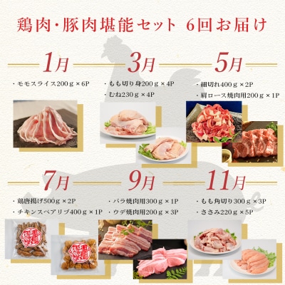 【定期便6回】よさこい尾鶏×力豚