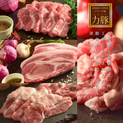 【定期便12回】よさこい尾鶏×力豚