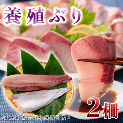 【高知県 大月町産】うみのファームぶり(柵2本セット)