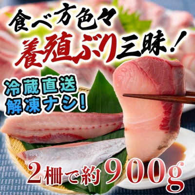 【国産】養殖ぶり 2柵セット ロイン 新鮮 ブリ 鰤 刺身 産地直送 冷蔵 寿司 ぶりしゃぶ