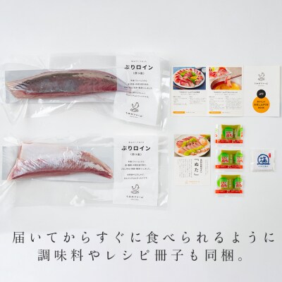 【高知県 大月町産】うみのファームぶり(柵2本セット)