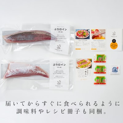 【国産】養殖ぶり 2柵セット ロイン 新鮮 ブリ 鰤 刺身 産地直送 冷蔵 寿司 ぶりしゃぶ