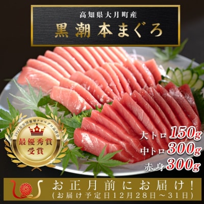 お正月 贅沢 本マグロ お刺身 3種セット 750g  国産 養殖 黒潮本まぐろ