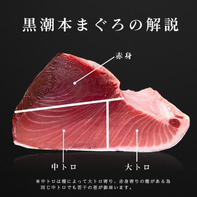 お正月 贅沢 本マグロ お刺身 3種セット 750g  国産 養殖 黒潮本まぐろ