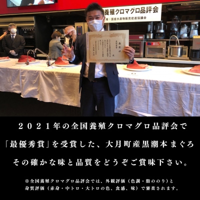 お正月 贅沢 本マグロ お刺身 3種セット 750g  国産 養殖 黒潮本まぐろ