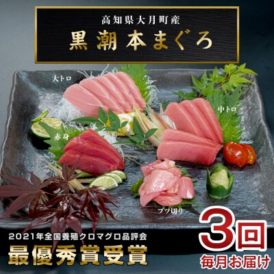 訳あり 不定貫 国産 まぐろ 3回 定期便 本マグロ 食べ比べ 大トロ 中トロ 赤身 ぶつ切り